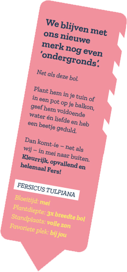 tuinfers1